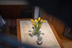 gallery3.jpg
